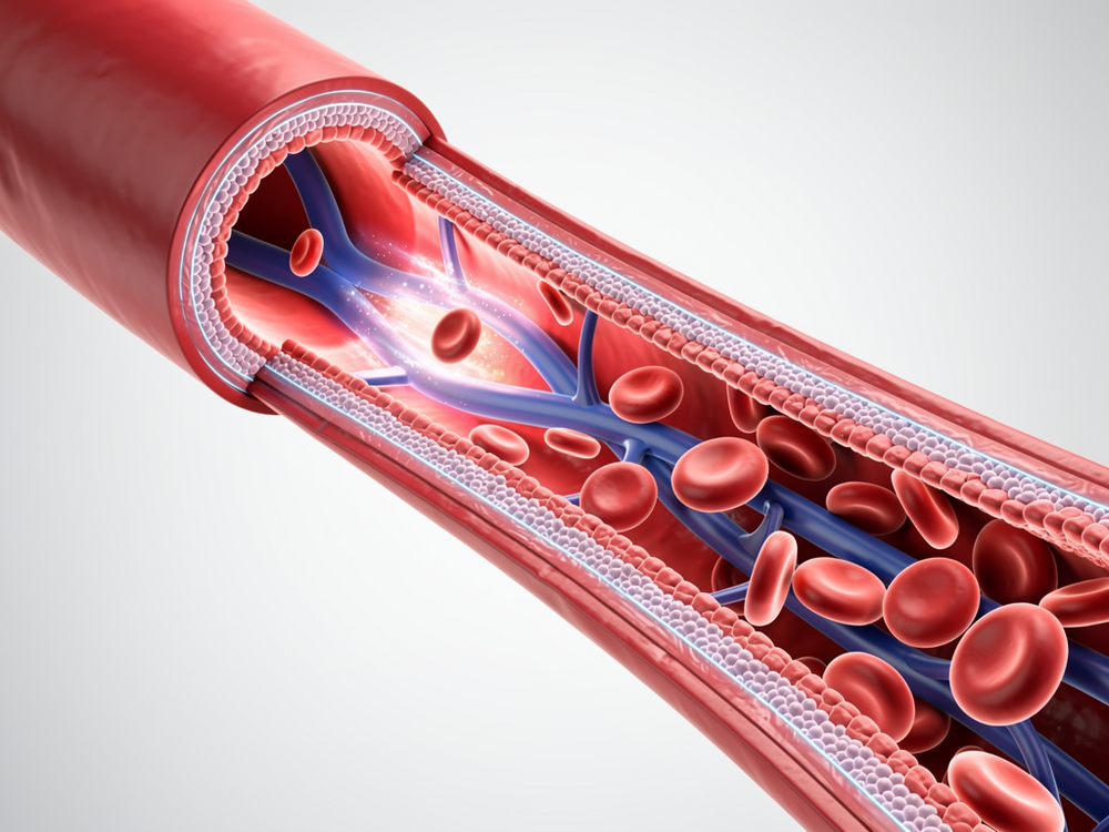 Morning Erections as a Heart Disease Early Warning: What Urologists Want Men to Know