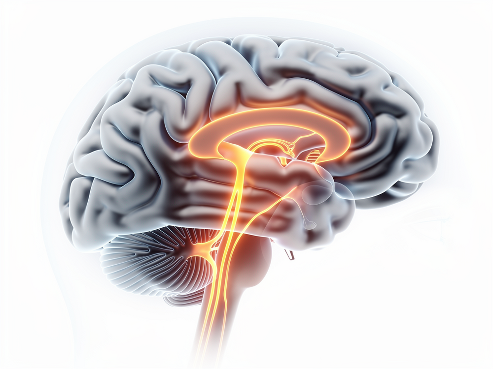 Why High-Functioning Professionals Feel Exhausted Despite Sleeping Enough: The Quiet Burnout and Dopamine Depletion Connection