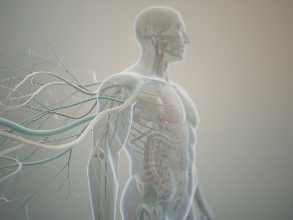 Why Your Nervous System Won't Reset After Work: The Hidden Cause of Post-Work Exhaustion That Sleep Doesn't Fix