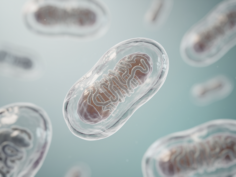 Why Sleep Isn't Restoring Your Energy When Blood Tests Say You’re Fine